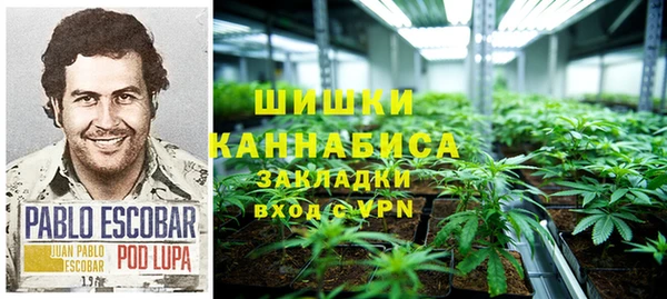 ГАЛЛЮЦИНОГЕННЫЕ ГРИБЫ Краснотурьинск