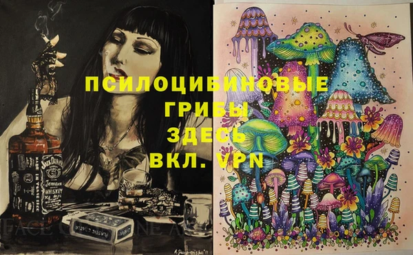 ГАЛЛЮЦИНОГЕННЫЕ ГРИБЫ Краснотурьинск