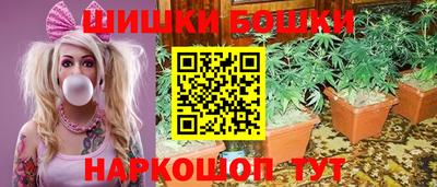 ешки Аргун