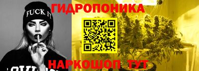 ешки Аргун