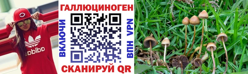 Галлюциногенные грибы GOLDEN TEACHER  Канск 