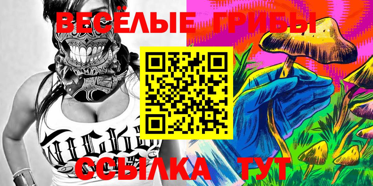 Псилоцибиновые грибы Psilocybine cubensis Канск