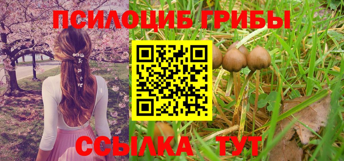 Псилоцибиновые грибы Magic Shrooms  Вход с VPN  Псилоцибиновые грибы прущие грибы  Канск 