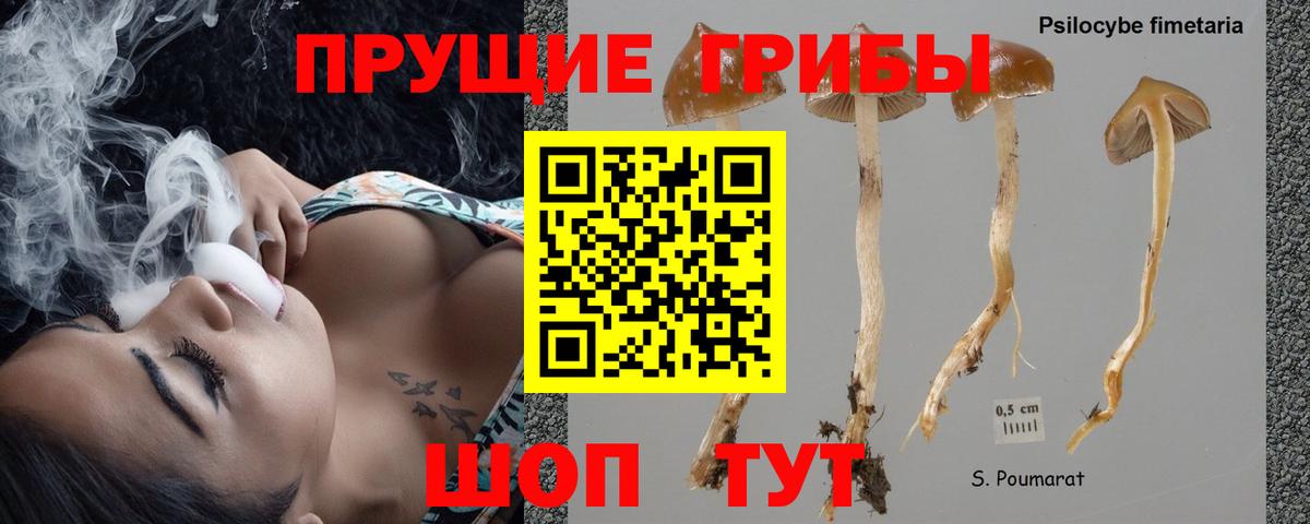 Галлюциногенные грибы GOLDEN TEACHER Канск