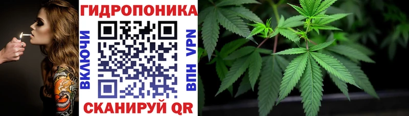 MEGA онион дарнет шоп Канск Конопля планчик